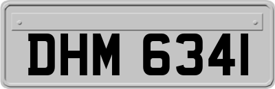 DHM6341
