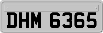 DHM6365
