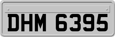 DHM6395