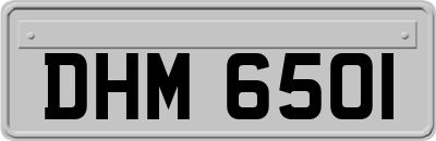DHM6501