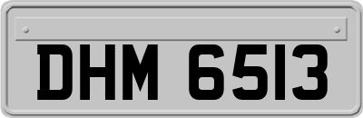 DHM6513