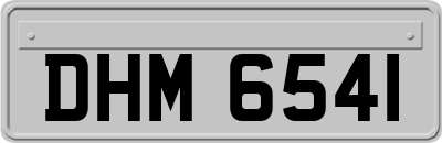 DHM6541