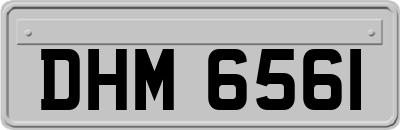 DHM6561