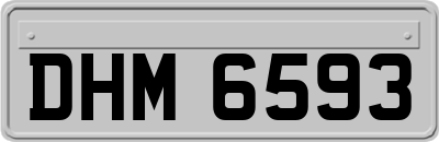 DHM6593