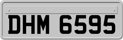 DHM6595