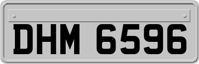 DHM6596