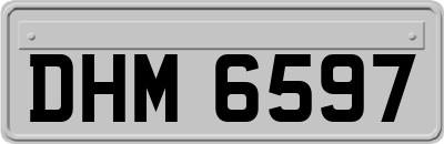 DHM6597