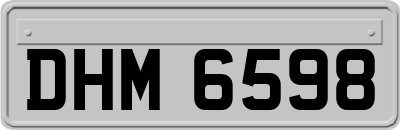 DHM6598