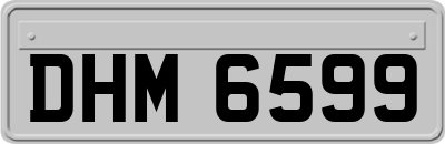 DHM6599