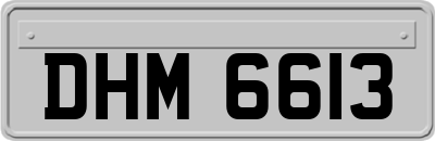 DHM6613