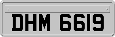 DHM6619