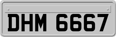 DHM6667