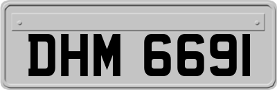 DHM6691