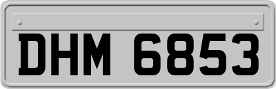 DHM6853
