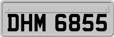 DHM6855