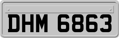 DHM6863