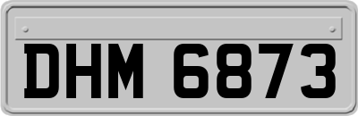 DHM6873