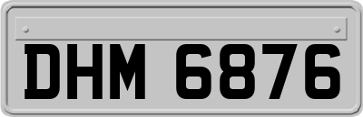 DHM6876