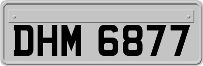 DHM6877