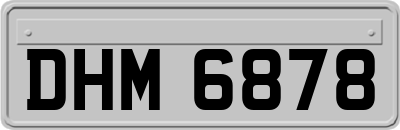 DHM6878