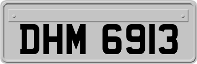 DHM6913