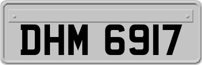 DHM6917