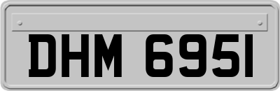 DHM6951