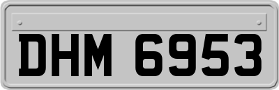 DHM6953