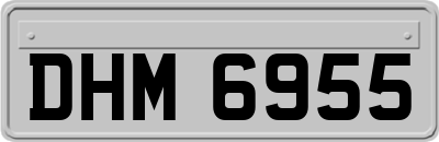 DHM6955
