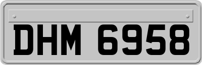 DHM6958