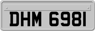 DHM6981
