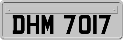 DHM7017