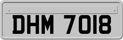 DHM7018