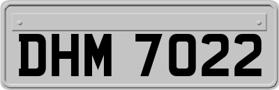 DHM7022