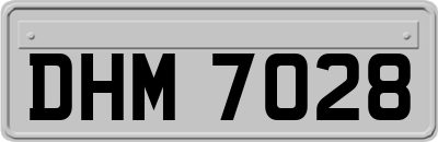 DHM7028