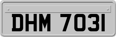 DHM7031