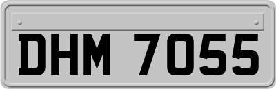 DHM7055