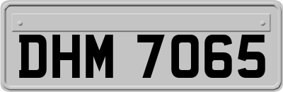 DHM7065