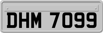DHM7099