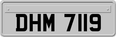 DHM7119