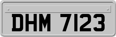 DHM7123