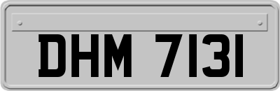 DHM7131