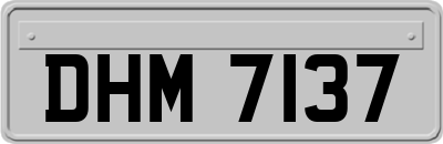 DHM7137
