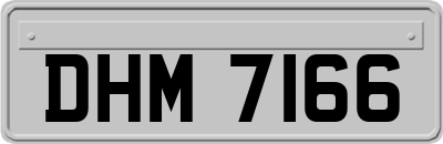 DHM7166