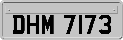 DHM7173