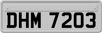 DHM7203