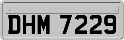 DHM7229