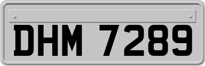 DHM7289