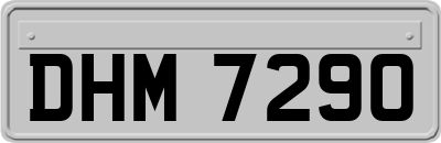 DHM7290