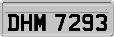 DHM7293